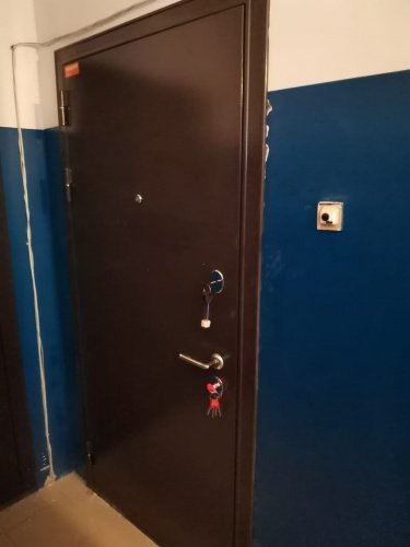 Мастино (Бульдорс) Стандарт 90 н. Букле шоколад, вн. Дуб графит 9SD-2 фото 3